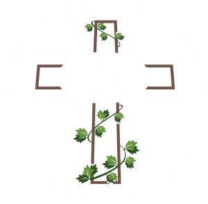 cropped-Logo-2-5.png cropped-Logo-2-5.png