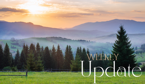Weekly Update